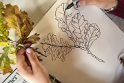 Rooted: Reconnect and Create Naturally